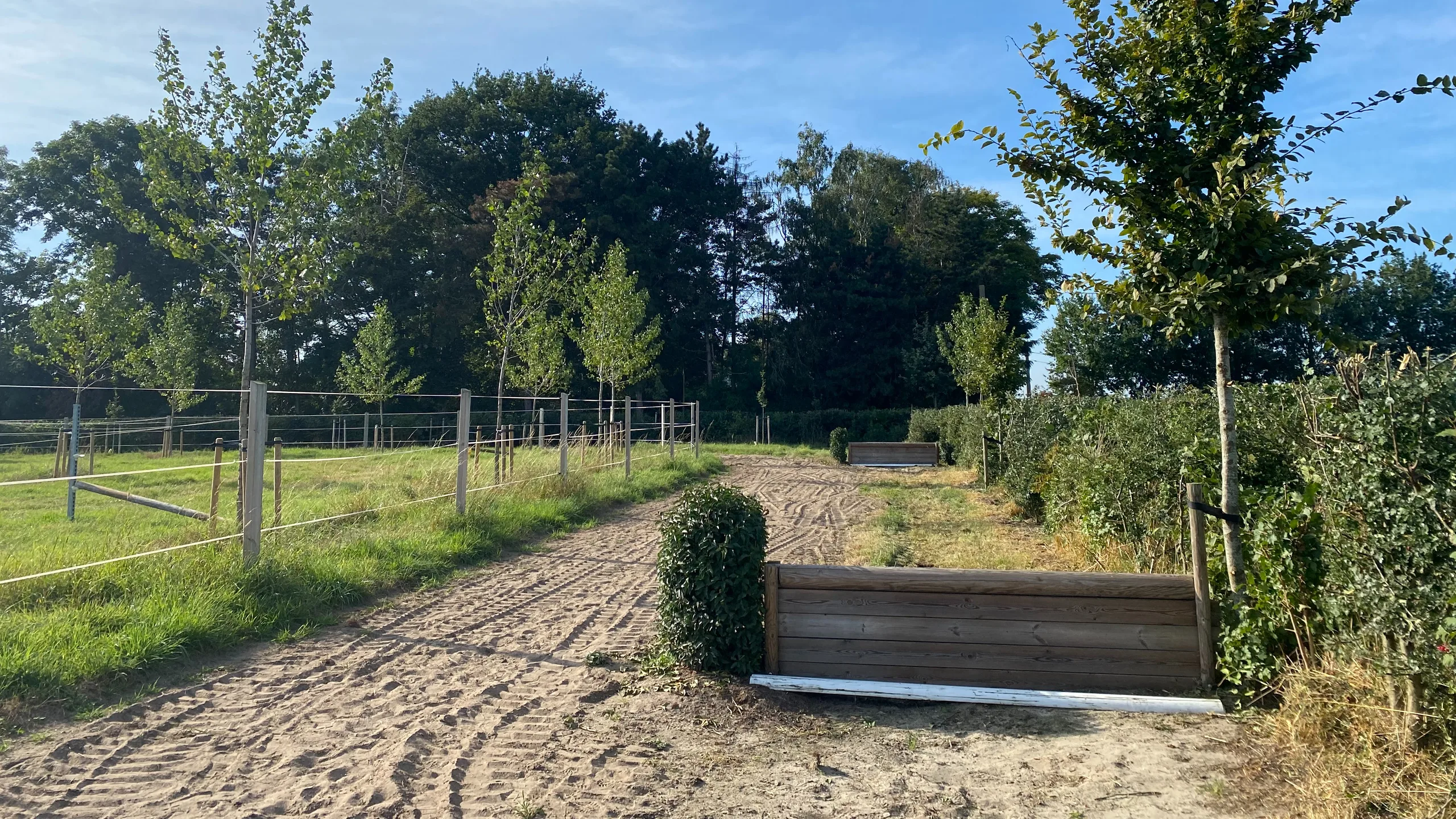 Gallop track with cross-country obstacles