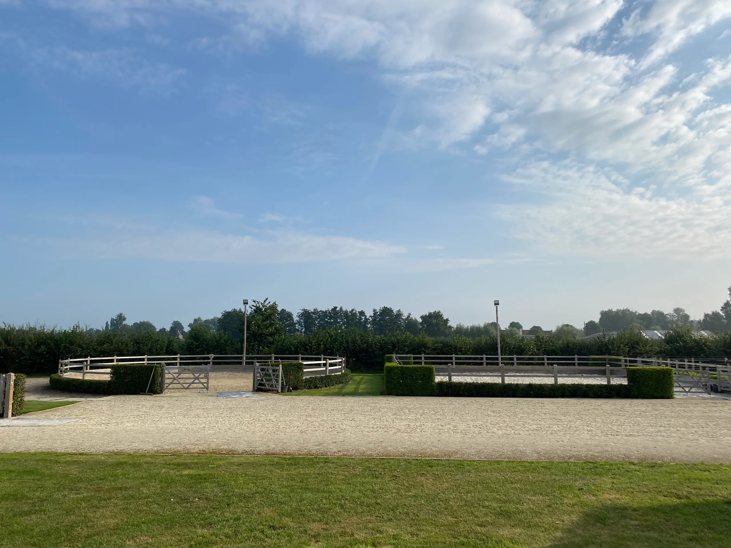 Lunging ring for calm, controlled work