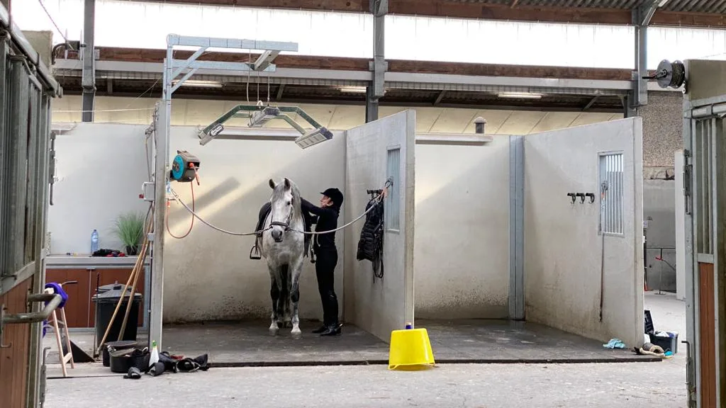 Wash bay with solarium and hot water